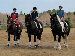 School Horses